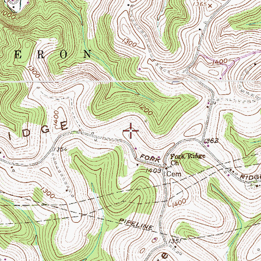 Topographic Map of Fork Ridge, WV