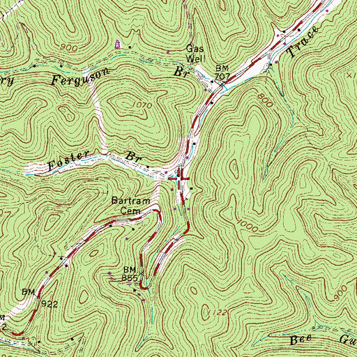 Topographic Map of Foster Branch, WV