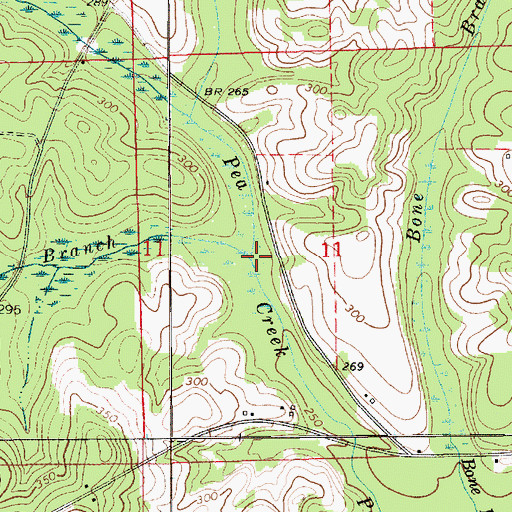 Topographic Map of White Springs Branch, AL
