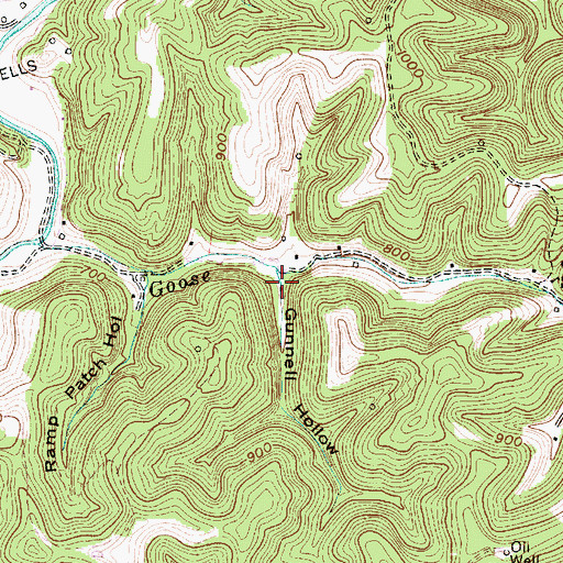 Topographic Map of Gunnell Hollow, WV