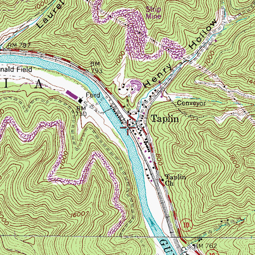 Topographic Map of Henry Hollow, WV
