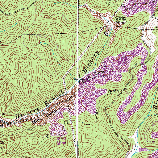 Topographic Map of Hickory Branch, WV