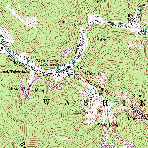 Topographic Map of Holstein Hollow, WV