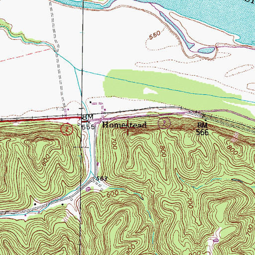 Topographic Map of Homestead, WV