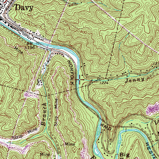 Topographic Map of Jenny Branch, WV