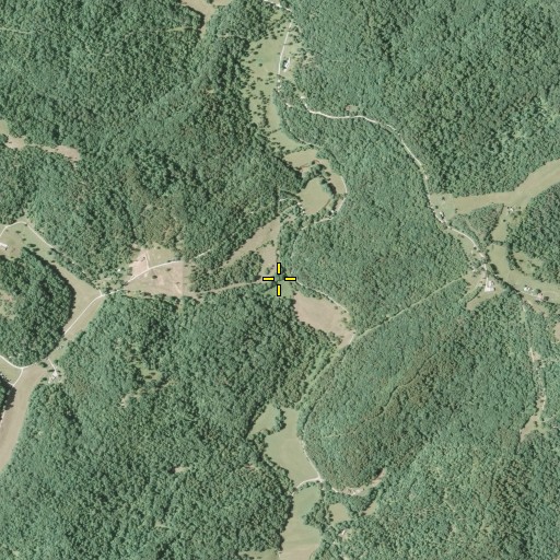 Aerial/Satellite Image of Jesse Run, WV