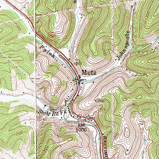 Topographic Map of Johnnycake Run, WV