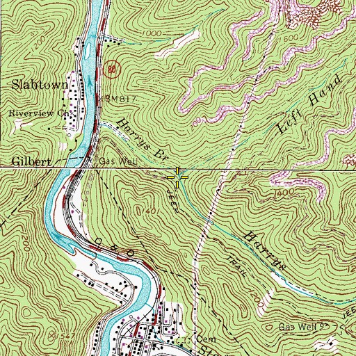 Topographic Map of Left Hand Fork Harrys Branch, WV