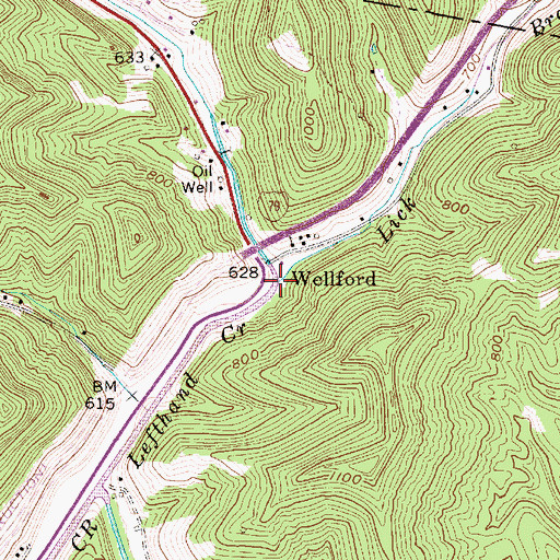 Topographic Map of Lick Branch, WV
