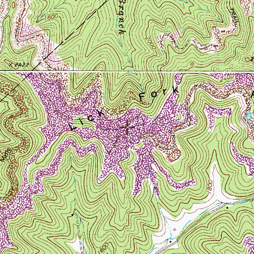 Topographic Map of Lick Fork Ridge, WV