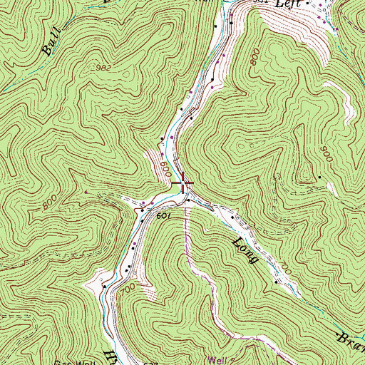Topographic Map of Long Branch, WV