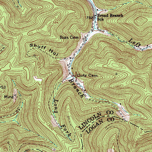 Topographic Map of Long Fork, WV