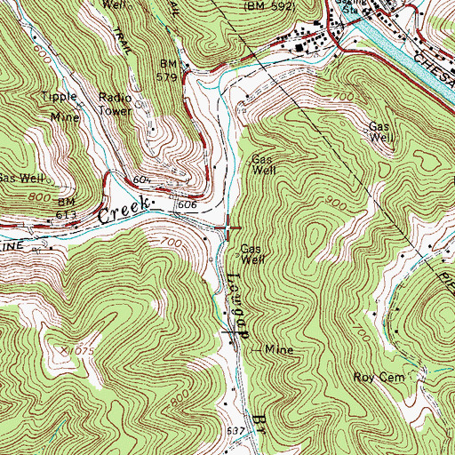 Topographic Map of Lowgap Branch, WV