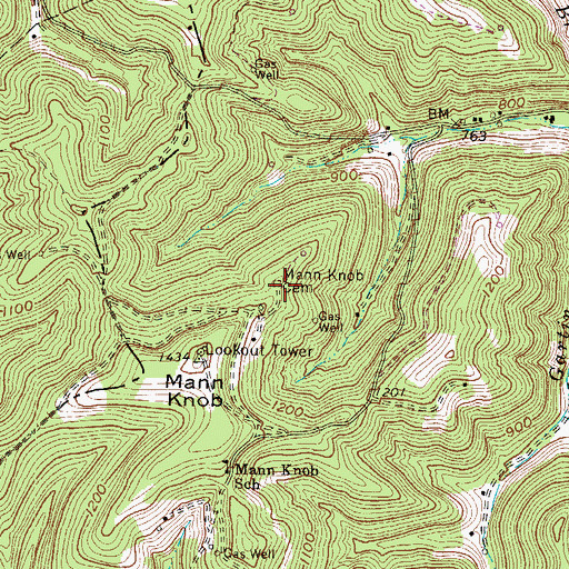 Topographic Map of Mann Knob Cemetery, WV