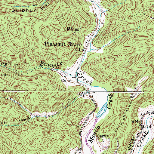 Topographic Map of Martins Branch, WV