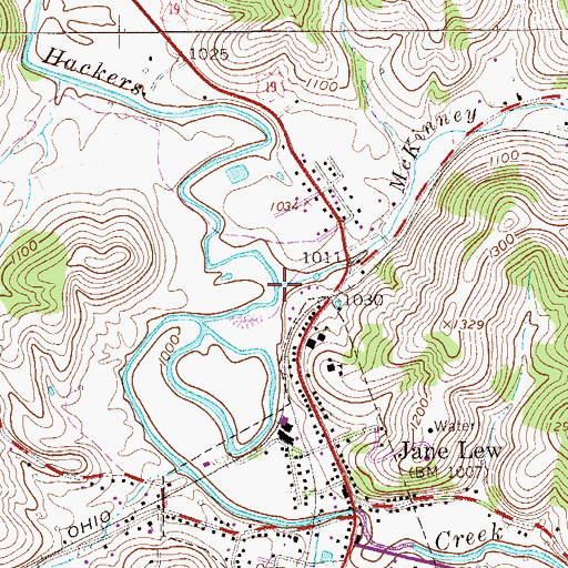 Topographic Map of McKinney Run, WV