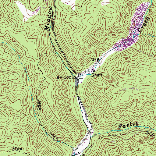 Topographic Map of Meadow Fork, WV