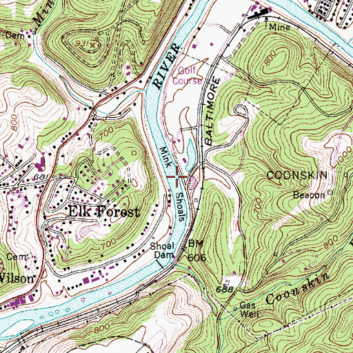 Topographic Map of Mink Shoals, WV
