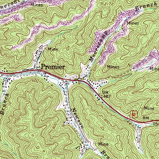 Topographic Map of Moorecamp Branch, WV