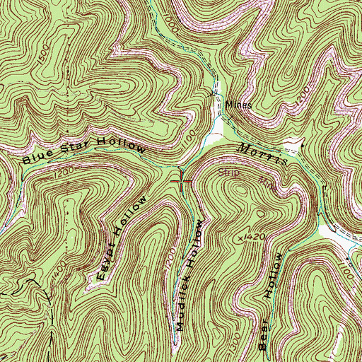 Topographic Map of Mudlick Hollow, WV