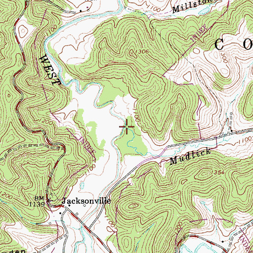 Topographic Map of Mudlick Run, WV