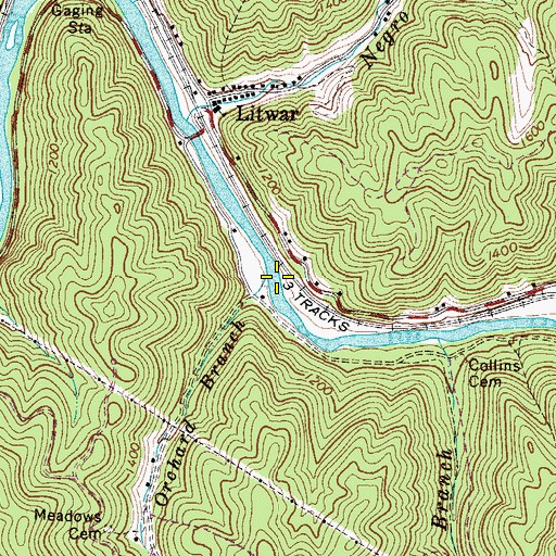 Topographic Map of Orchard Branch, WV