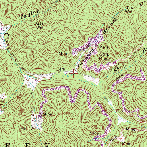 Topographic Map of Orchard Branch, WV