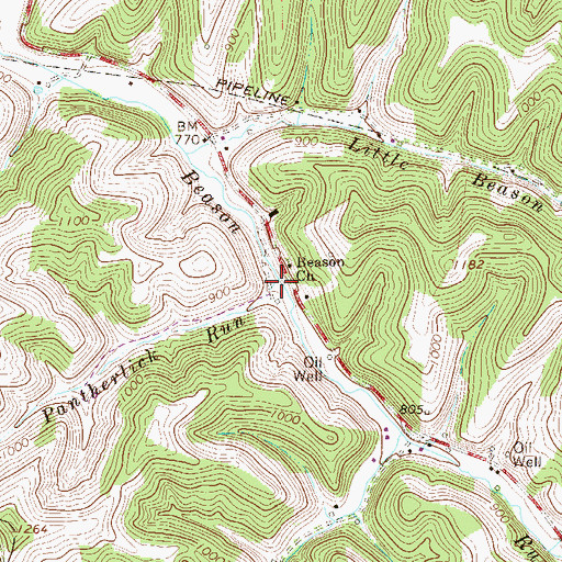 Topographic Map of Pantherlick Run, WV