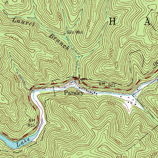 Topographic Map of Parsley, WV