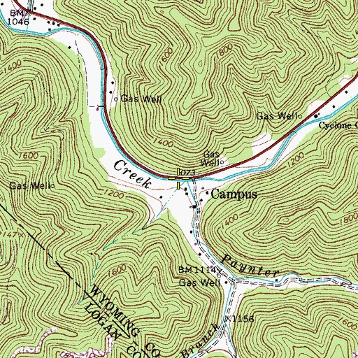 Topographic Map of Paynter Branch, WV