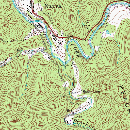 Topographic Map of Peachtree Creek, WV