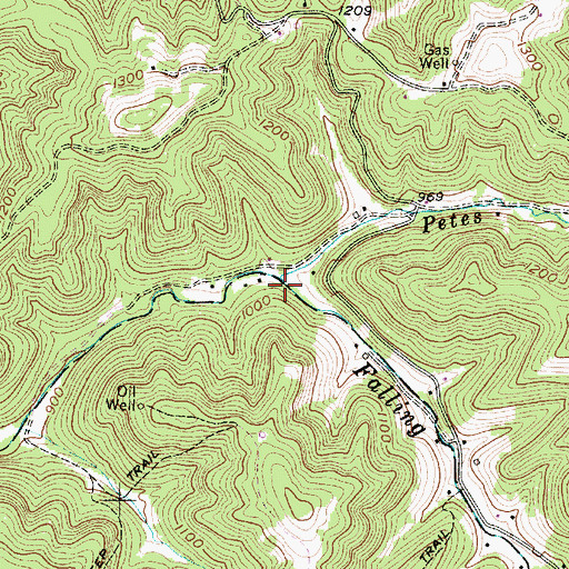 Topographic Map of Petes Fork, WV