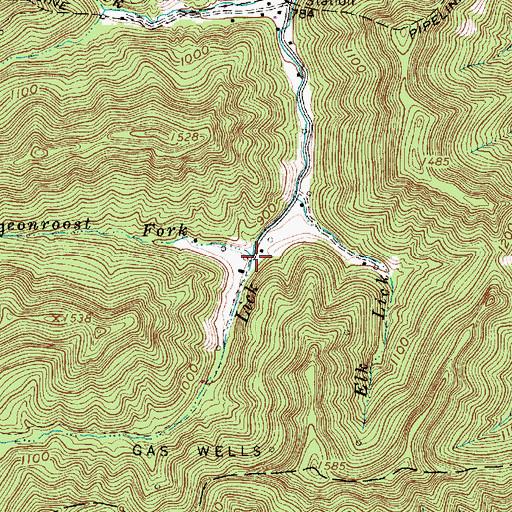Topographic Map of Pigeonroost Fork, WV