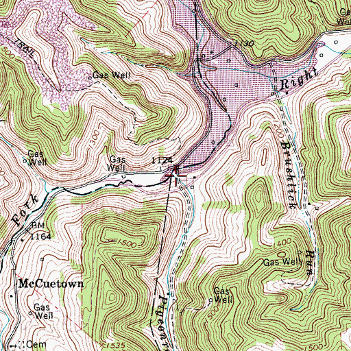 Topographic Map of Pigeonroost Run, WV