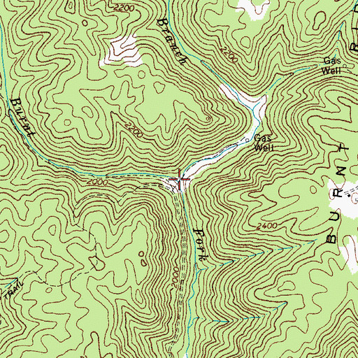 Topographic Map of Richardson Branch, WV