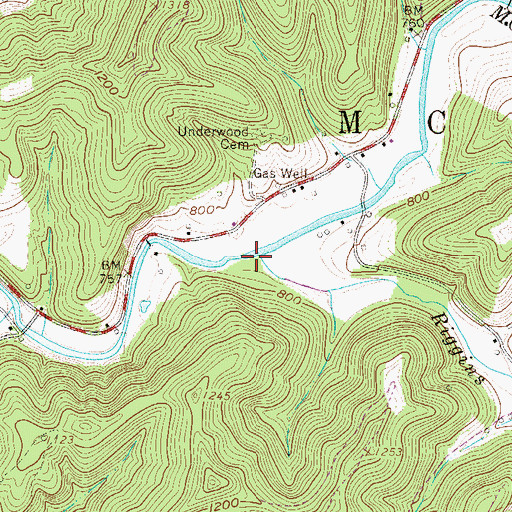 Topographic Map of Riggins Run, WV