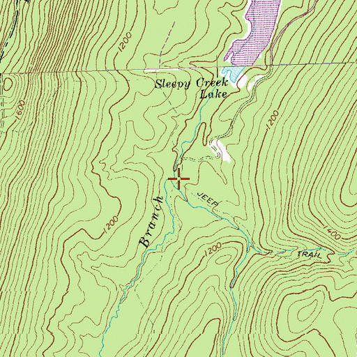 Topographic Map of Roaring Run, WV