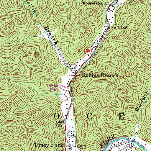 Topographic Map of Rollins Branch, WV