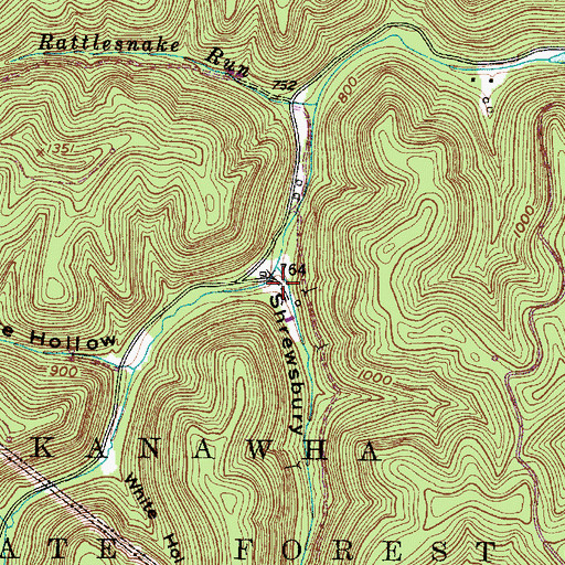 Topographic Map of Shrewsbury Hollow, WV