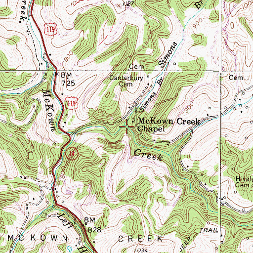 Topographic Map of Simons Branch, WV