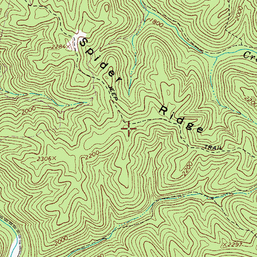 Topographic Map of Spider Ridge, WV