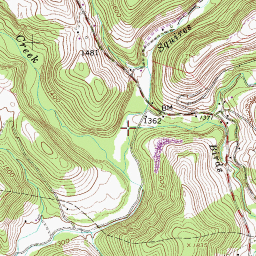 Topographic Map of Squires Creek, WV