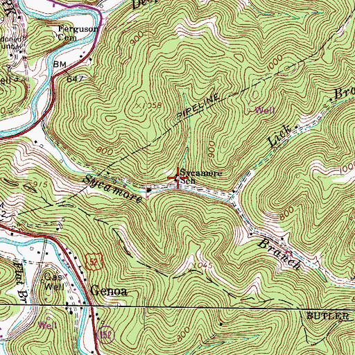Topographic Map of Sycamore School (historical), WV
