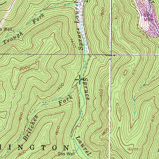 Topographic Map of Tickle Britches Fork, WV