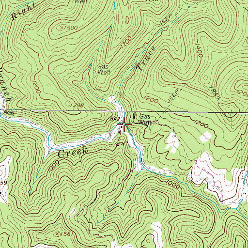 Topographic Map of Trace Fork, WV