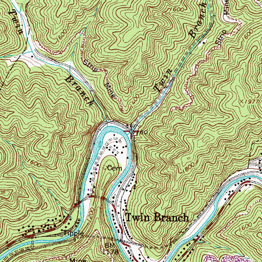 Topographic Map of Twin Branch, WV
