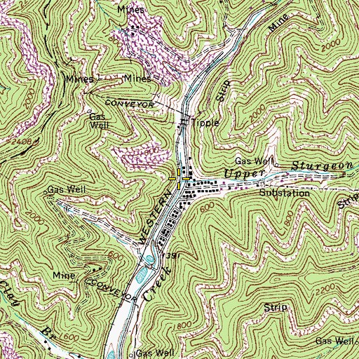 Topographic Map of Upper Sturgeon Branch, WV