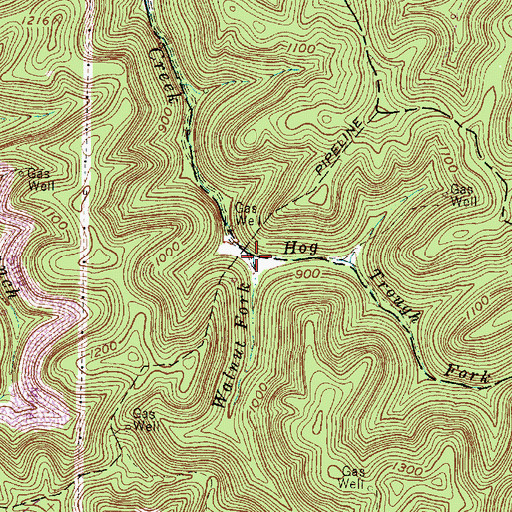 Topographic Map of Walnut Fork, WV