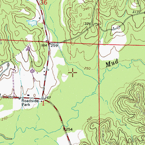 Topographic Map of Mud Creek Gas Field, AL