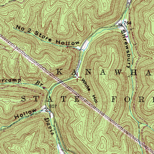 Topographic Map of White Hollow, WV